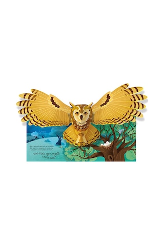 Pop-Up Birds - Laura Cowan - Usborne