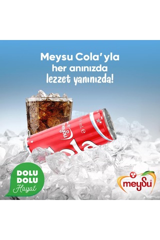 Meysu Kola 330 Ml X 24 Adet