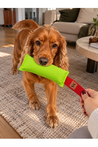 Köpek Çekiştirme Oyuncağı Tug Toy Eğitim Oyuncağı