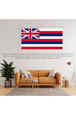 Havai Adaları Ülke Bayrağı 45x22cm Duvar Tablosu Çerçevesiz Pvc Tablo Diğer