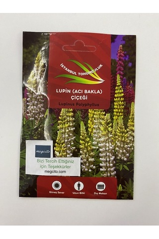 Lupin Çiçeği Çoklu Tohum - 30 Tohum - Karışık Renk