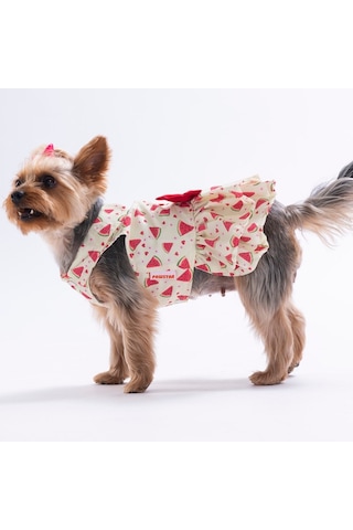 Berry Crush Meyve Desenli Kedi Köpek Elbisesi - Kedi Köpek Kıyafeti