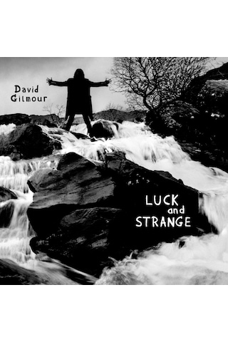 David Gimour - Luck And Strange Plak