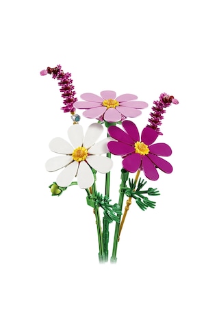 LEGO® Botanicals Kozmos Çiçekleri 11514 - 9 Yaş ve Üzeri Çocuklar için Renkli Çiçekler İçeren Oyuncak Yapım Seti (171 Parça)