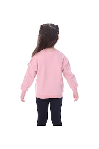 Basic Düz Renk Pudra Fırçalı Yumuşak %100 Pamuk Sweatshirt Pudra