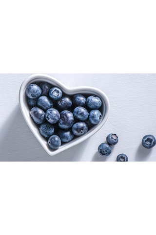 Gojiberry Turkiye Yaban Mersini Fidanı Mavi Yemiş Blueberry 2 Yaş