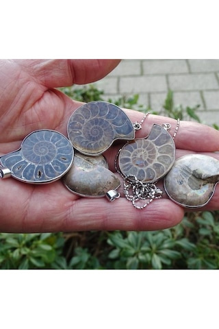 Amonit Fosili Kolye 448