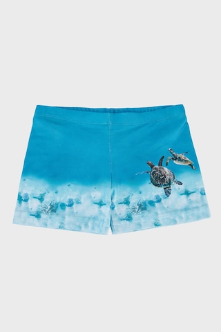 Slipstop Caretta Desenli Beli Lastikli Boxer Mayo Short Erkek Çocuk Mayo Short Sr2632000005 Turkuaz
