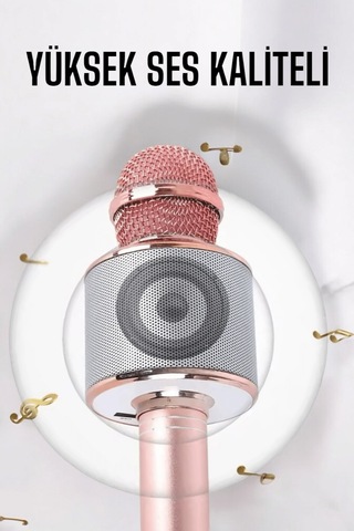 Taşınabilir Bluetooth Karaoke Mikrofon: Hafıza Kart Girişli, Etkileyici -