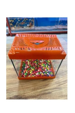 Canlipetshop Turuncu Renkli Mini Kare Akvaryum 20x20x15 CM