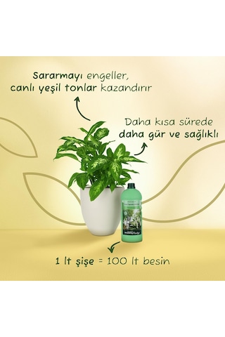 Lexroo Yeşil Yapraklı Bitkiler İçin Sıvı Bitki Besini Sıvı Gübre 1000 Ml