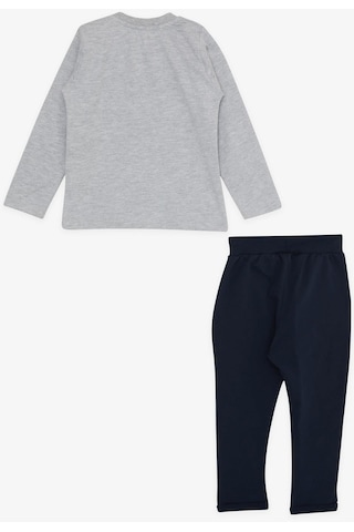 Erkek Bebek Dinazor Baskılı Eşofman Takım-13390-grı Gri