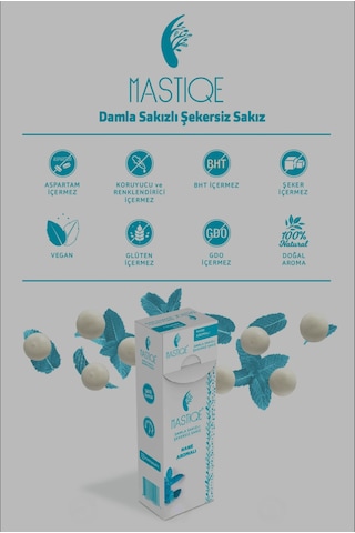 Nane Aromalı Sakız 20g X 2 Adet