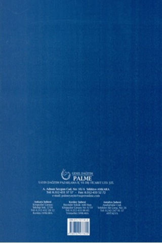 Fizik İlkeleri Problem Çözümleri -Palme