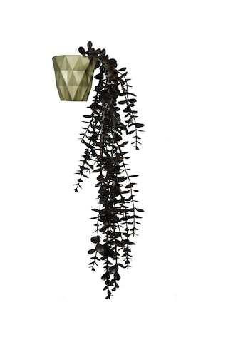 Yapay Çiçek Kahverengi Okaliptus 45 Cm New Collection Gold Elmas Saksıda Yapay Sarkan Bitki Kahverengi