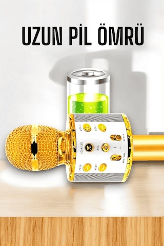Kablosuz Bluetooth Karaoke Mikrofon Usb Aux Girişli Yüksek Ses Kalitesi