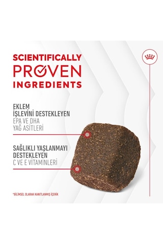 Joint&ageing Chews Eklem Ve Sağlıklı Yaşlanmayı Destekleyen Tamamlayıcı Ödül Maması 240g