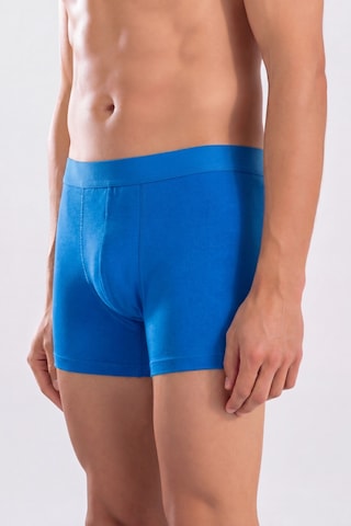 Arma Yıldız Erkek Premium Bambu Renkli Boxer 6'lı Hediye Kutulu Damat Bohçası Ve Çeyiz Seti Mavi Sarı Laci Yeşil Bordo Siyah
