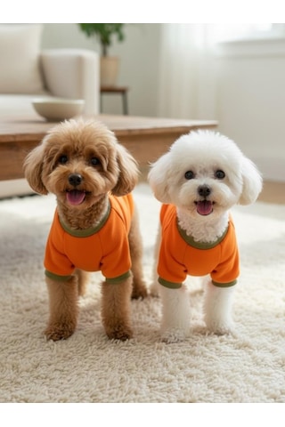 Kemique Ice Cream And Pineapple Turuncu Haki Köpekler İçin Polar Sweatshirt