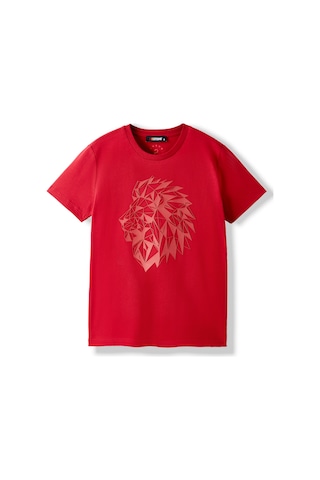 Gsstore Galatasaray Kadın T-shirt K252099 Kırmızı