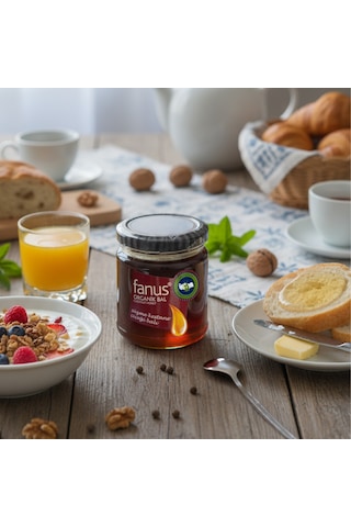 Fanus Organik Süzme Kestane Balı 225 G