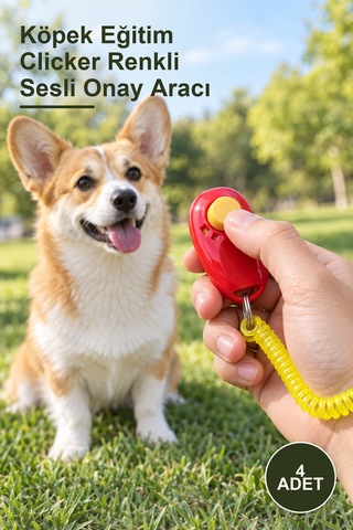 4 Adet Köpek Eğitim Clicker Renkli Sesli Onay Aracı