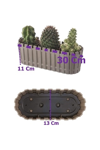 3 Adet Akasya Saksı, Bahçe Balkon Saksı, Çit Saksı 30 Cm