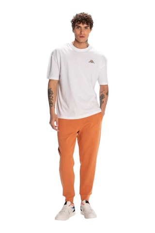 Kappa Erkek Mavi Regular Fit Tişört Beyaz