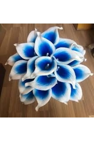 5 Adet Tohum Calla Lily Çiçek Tohumu Afrika Çöl Çiçeği Mavi Lily