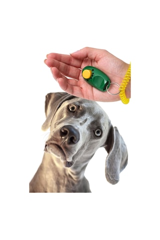 Köpek Cliker Eğitim İçin Ayarlanabilir Yüksek Sesli Eğitim Aleti Yüksek Sesle Tıkırtı