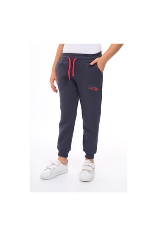 Toontoy Kız Çocuk Nakış Baskılı Beli Paçası Lastikli Cepli Basic Jogger Eşofman Altı 2 İplik Füme