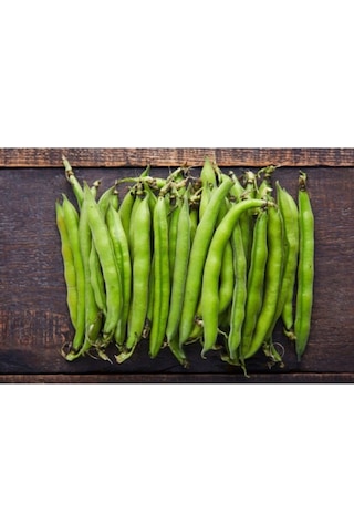 200 Adet Tohum Nadir Organik Bakla Tohumu Sürpriz Hediye Tohumludur