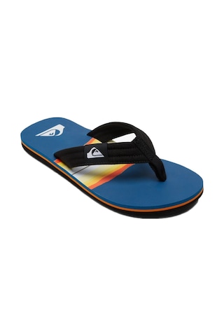 Quiksilver Molokai Layback Erkek Parmakarası Aqyl101241 Mavi