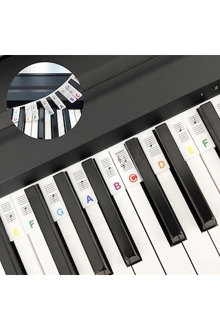 Jeehugo 88 Tuşlu Renkli Silikon Piyano Not Etiketleri - Başlangıçcılar İçin Kolay Kurulum & Kaldırma, Su Geçirmez, Temizlenebilir Kutu İle Beyaz