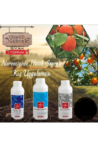 Narenciye Ağaçlarında Hasat Sonrası Kış Uygulaması Seti