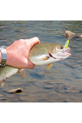 Tenfowee A01 20 Adet Metal Yem Seti - Renkli Parlak Flasher, Balık Çekici, İki Kanal Ve Kutulu Olta Takımı