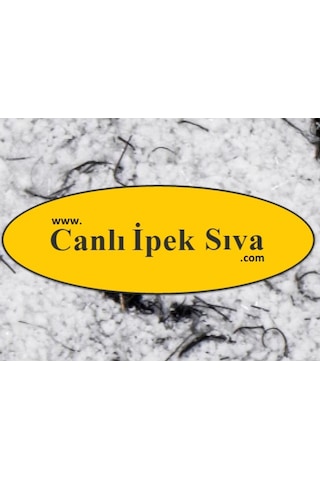 Dekoratif Canlı Sıva (71902808)