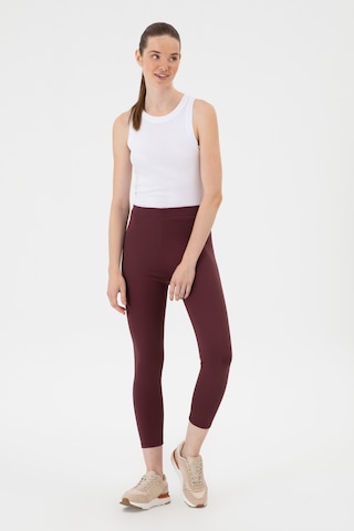 U.S. Polo Assn. Kadın Bordo Yüksek Bel Toparlayıcı Günlük Tayt 50314365-VR177