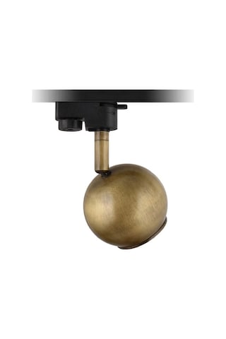 Mylights Ray Spot Tekli Küre Monofaza Gün Işığı Ampullü Ray Spot Altın - Gold