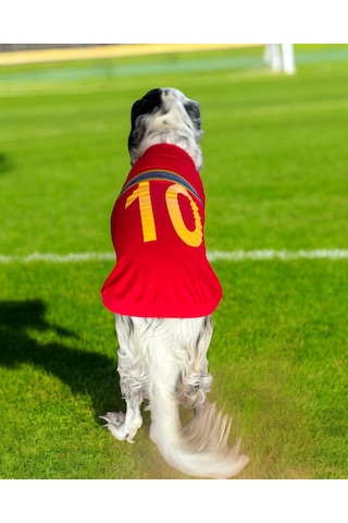 Kemique Uno Red Büyük Irk Köpekler İçin Tişört