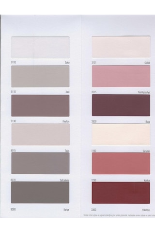 Fbs Exterio Silikonlu Dış Cephe Boyası 3.5 Kg Güneş Diğer