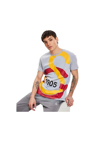 Gsstore Galatasaray Büyük Logolu Tee Gri T-shirt Gri