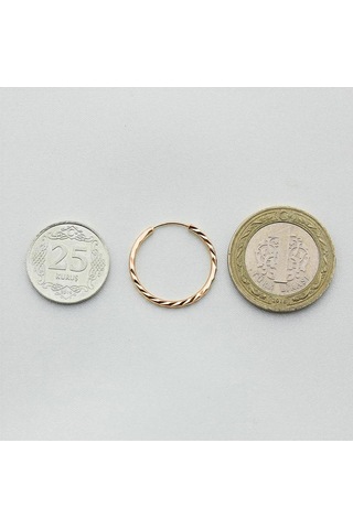 Yelpaze Kalemli Pembe Altın Halka Küpe Çapı: 2.20cm Pembe Altın
