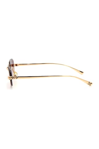 Falenti Ae2502-c2 56 Unisex Güneş Gözlüğü Kahverengi
