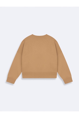 Ltb Kahve Rengi Sweatshırt 011268112460769 6709 Kahve Rengi