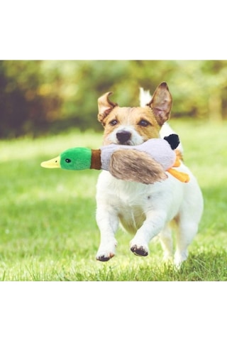 Büro Ev Ofis Evcil Pet Köpeği İçin Sesli Ördek Model Peluş Köpek Oyuncağı