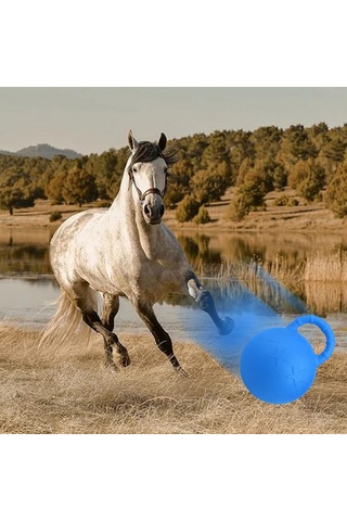 Homyl At Oyuncak Oyun Topu Meyve Kokulu Pet Joy Rastgele-renk Rastgele Renk