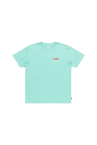 Billabong Dreamy Place Ss Erkek T-shirt Ebyzt00294-6516 Turkuaz