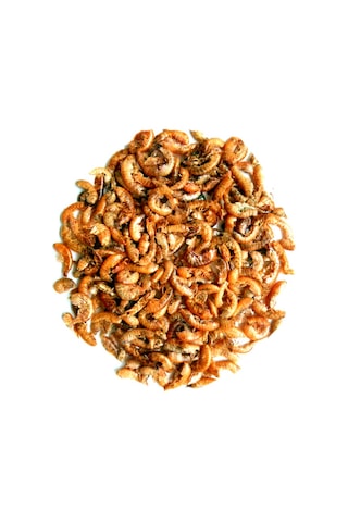 Gammarus 1000ml + Lotus Turtle Sticks 250ml Kaplumbağa Yemi