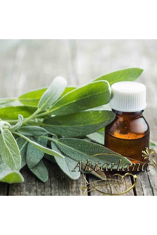 Aktarland Adaçayı Uçucu Yağı 20 ML